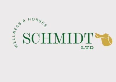 Schmidt Logo image 2