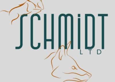 Schmidt Logo Image